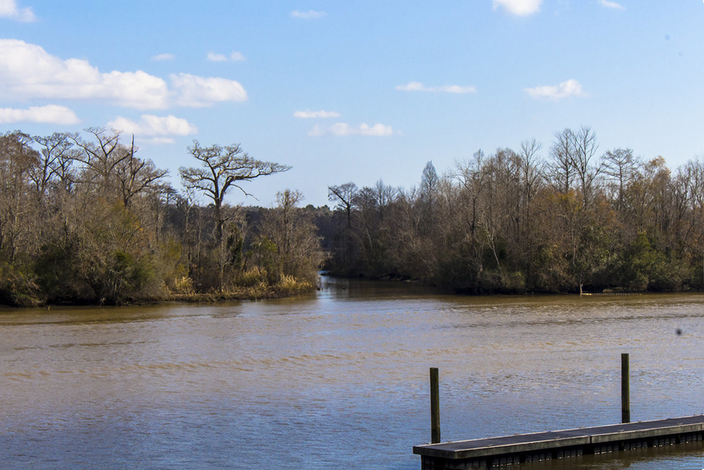 Su guía de pesca en Santee Cooper (actualizado en 2022) 2024