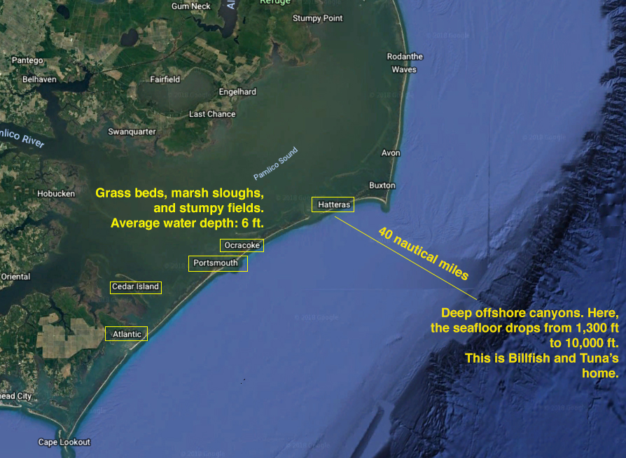 pamlico sound fishing spots and hatteras offshore canyons
