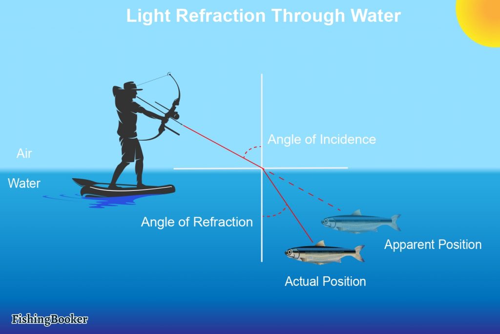 инфографика, показывающая преломление света через воду.  стрелок, целящийся в подводную рыбу