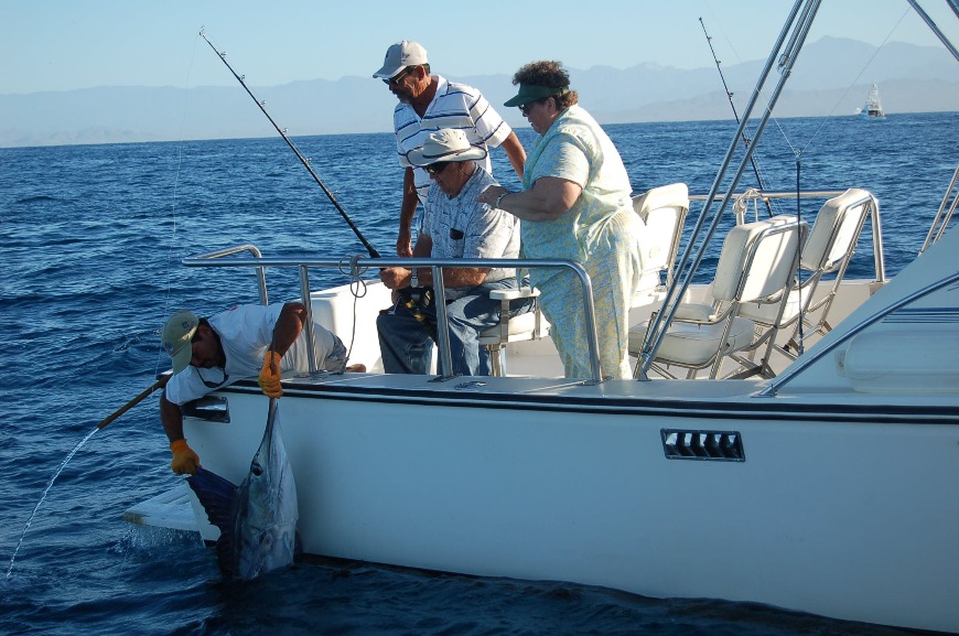 liberar pez vela en cabo