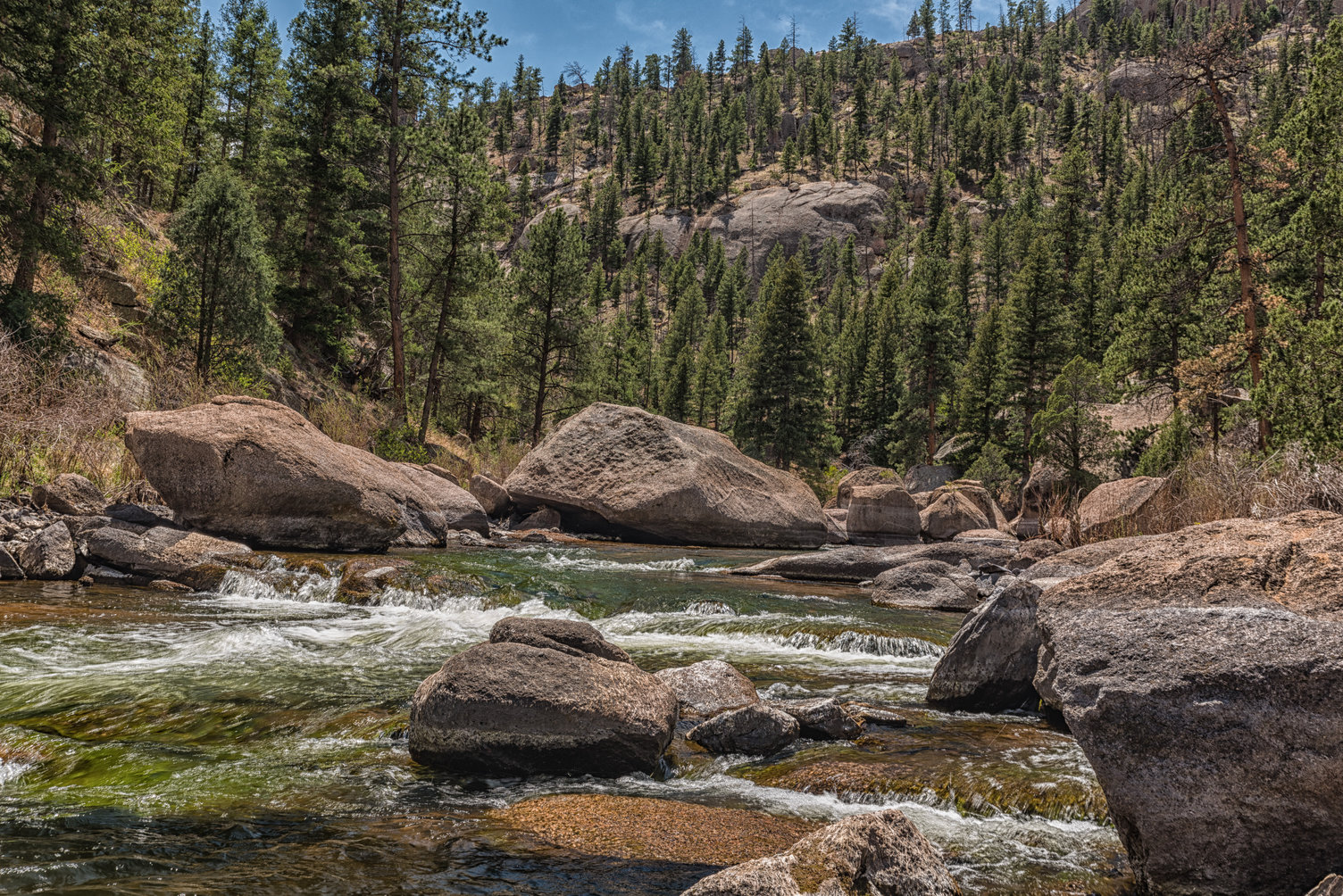Cheesman Canyon, one of the best places to fish near Denver
