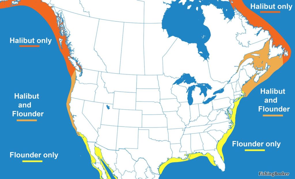 een infografiekaart met de verspreiding van Halibut vs. Flounder in Noord-Amerika