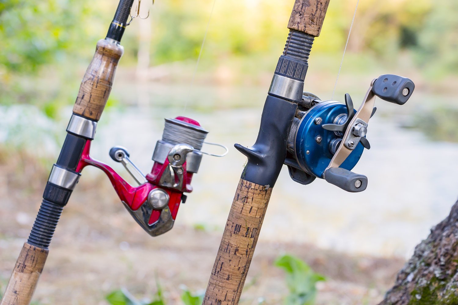 two most common types of fishing reels on a couple of fishing rods: a spinning reel on the left, and a baitcasting reel on the right