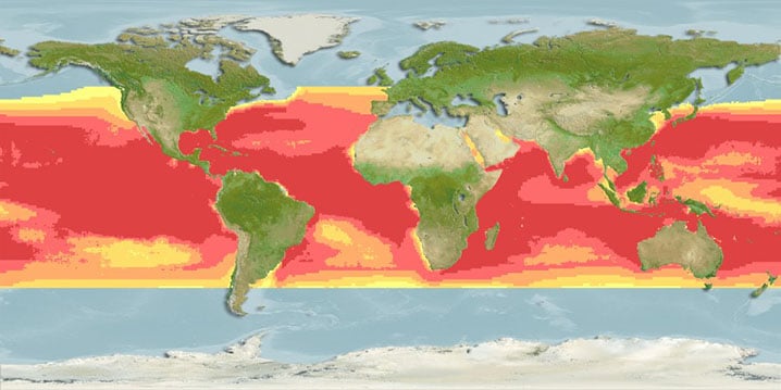 Mapa de calor del hábitat del pez vela