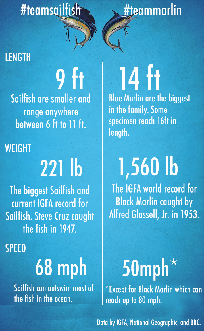 Sailfish vs Marlin-Statistiken zu Länge, Gewicht und Geschwindigkeit