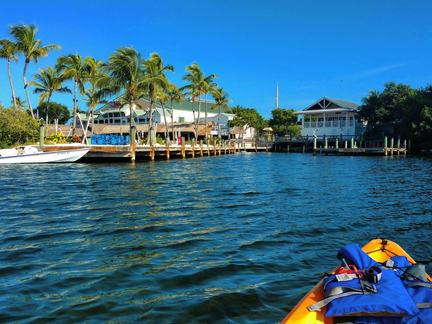 Key Largo Fishing The Complete Guide (Updated 2023)