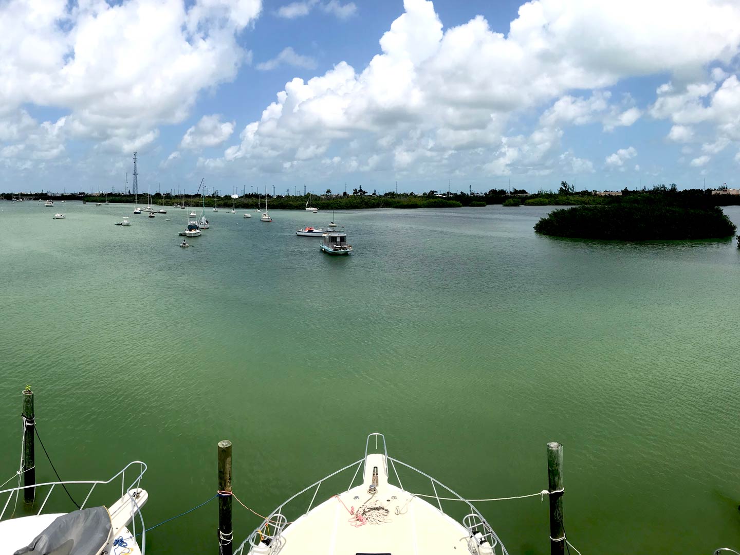 Marathon Fishing The Complete Guide (Updated 2023)