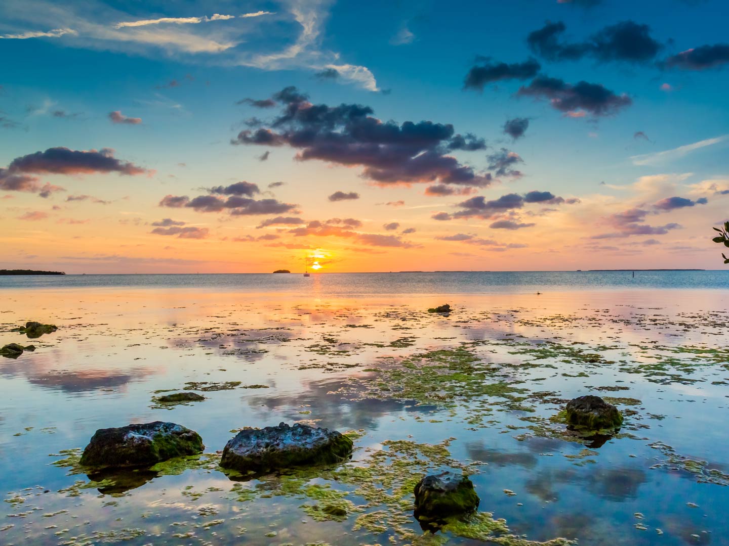 Key Largo Fishing The Complete Guide