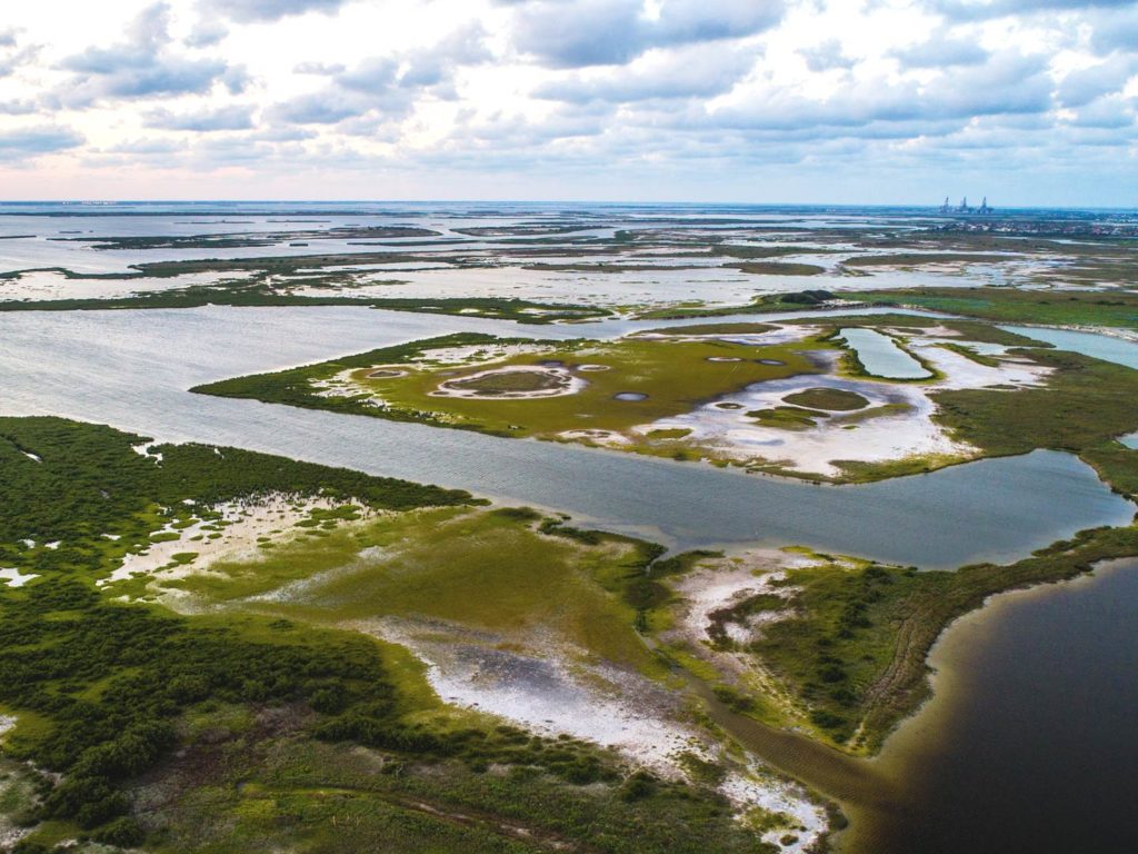 baffin marsh