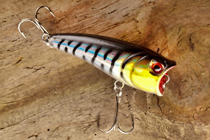 A popper topwater fishing lure on a wooden background