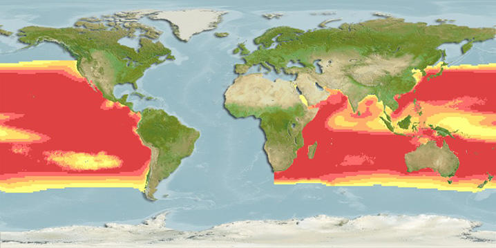 Mapa de calor do habitat dos Espadins listrados