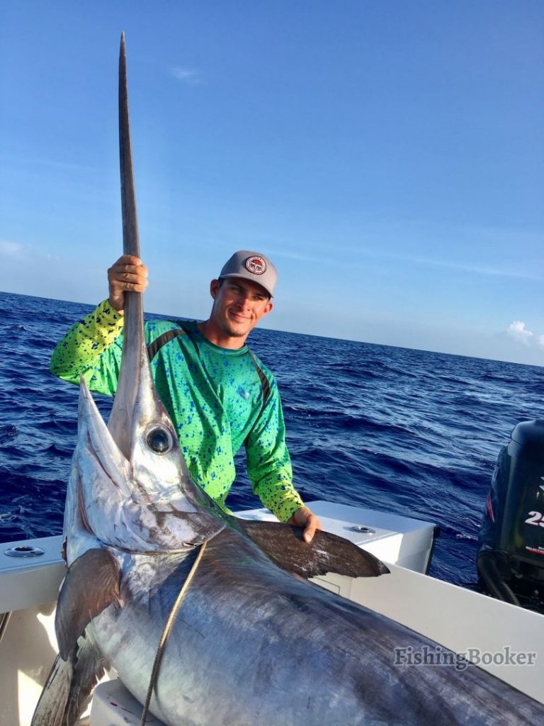 Daytime Swordfish Tactics That Work Like a Charm
