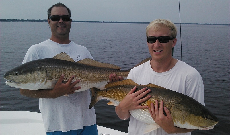 Redfish Tailing -  Singapore