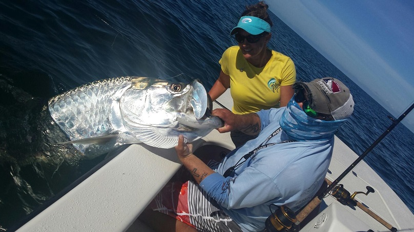 Catch and release of big Tarpon in Florida