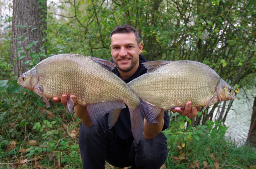 The search for Australia's Greatest Fish: Bream 