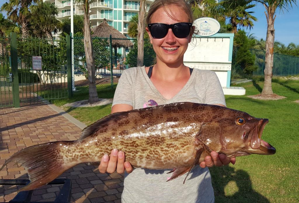 Scamp Grouper Fishing in Destin, FL - FishingBooker