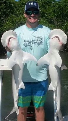 Angler with two Bonnethead Sharks