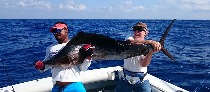 Sailfish Fishing: Species info, charters and destinations