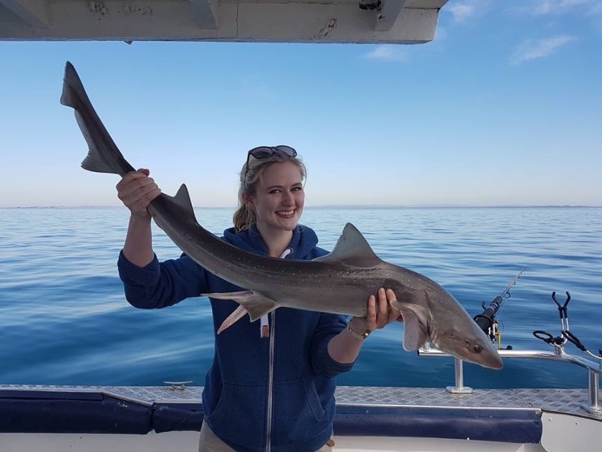 How to catch gummy sharks - Fishing World Australia