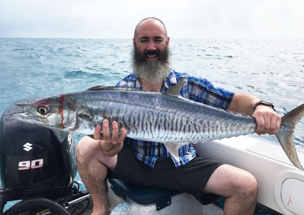 Narrow-barred Spanish Mackerel Fishing: Species info, charters and  destinations