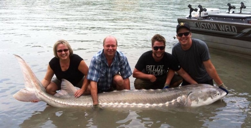 White Sturgeon - Pier Fishing in California