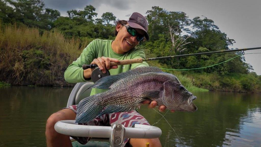 Rainbow Bass Fishing: Species info, charters and destinations