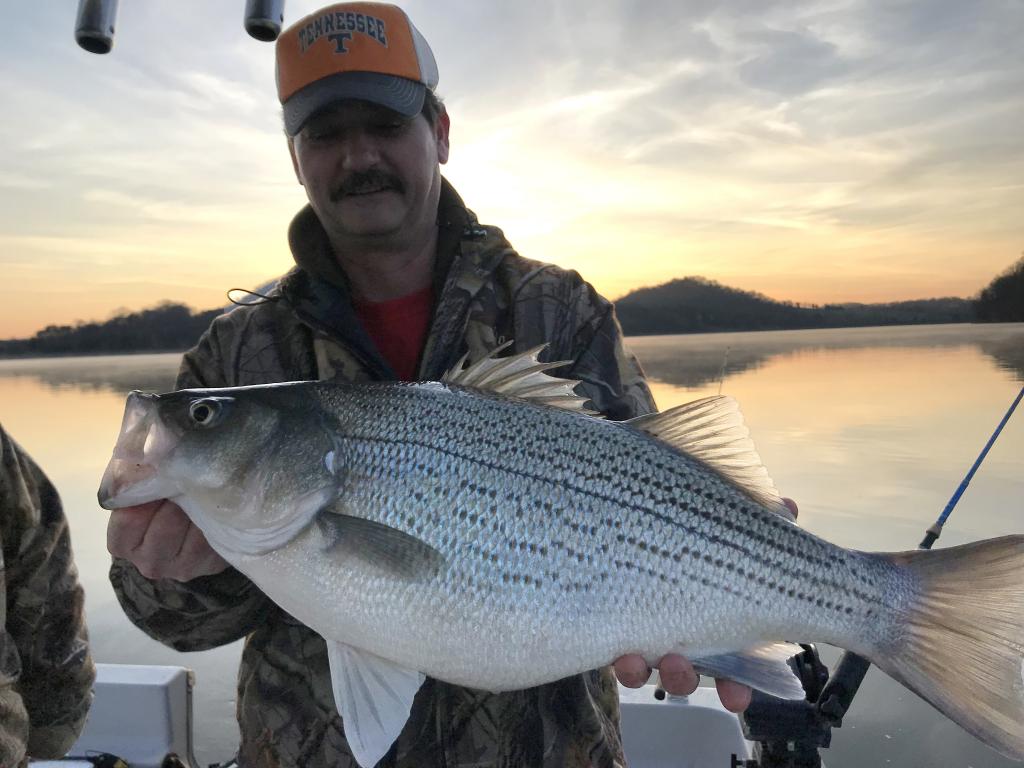 Alabama Lakes for Trophy Striped Bass on a fly