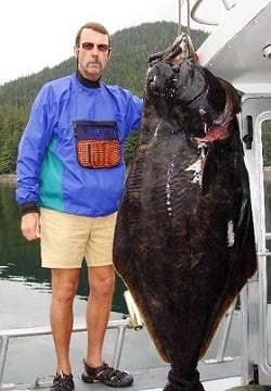 Catching Halibut on a fishing trip