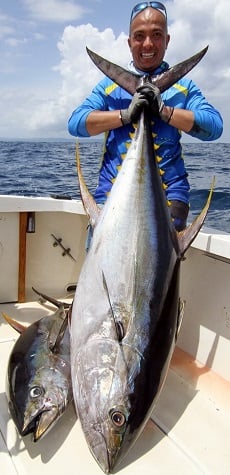 Ahi (Yellowfin Tuna) - Fisherman Travels