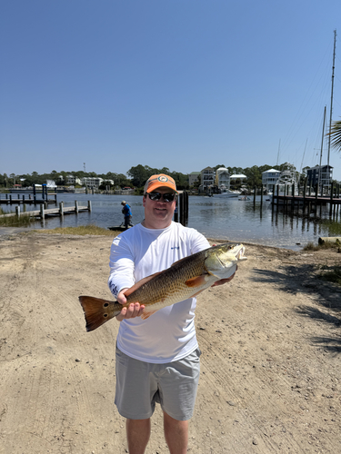 Carrabelle Report Photo 4