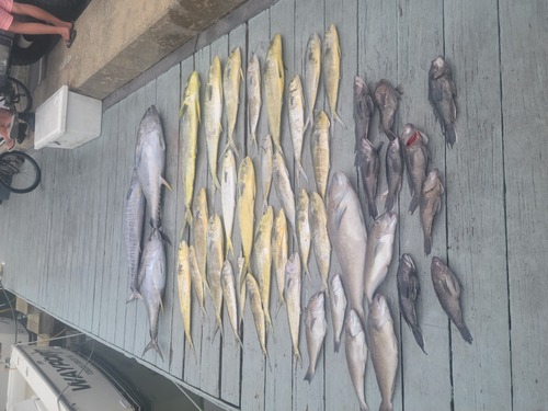 Virginia Beach Report Photo 0