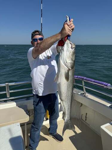 Montauk Report Photo 2
