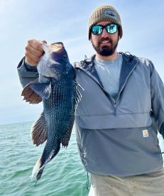 Cape Cod Report Photo 1