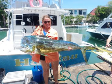 Quintana Roo Report Photo 2