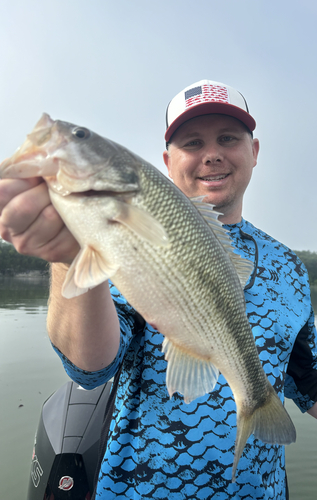 Branson Report Photo 0